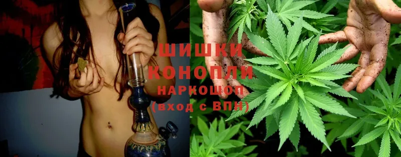 Каннабис White Widow  Малая Вишера 